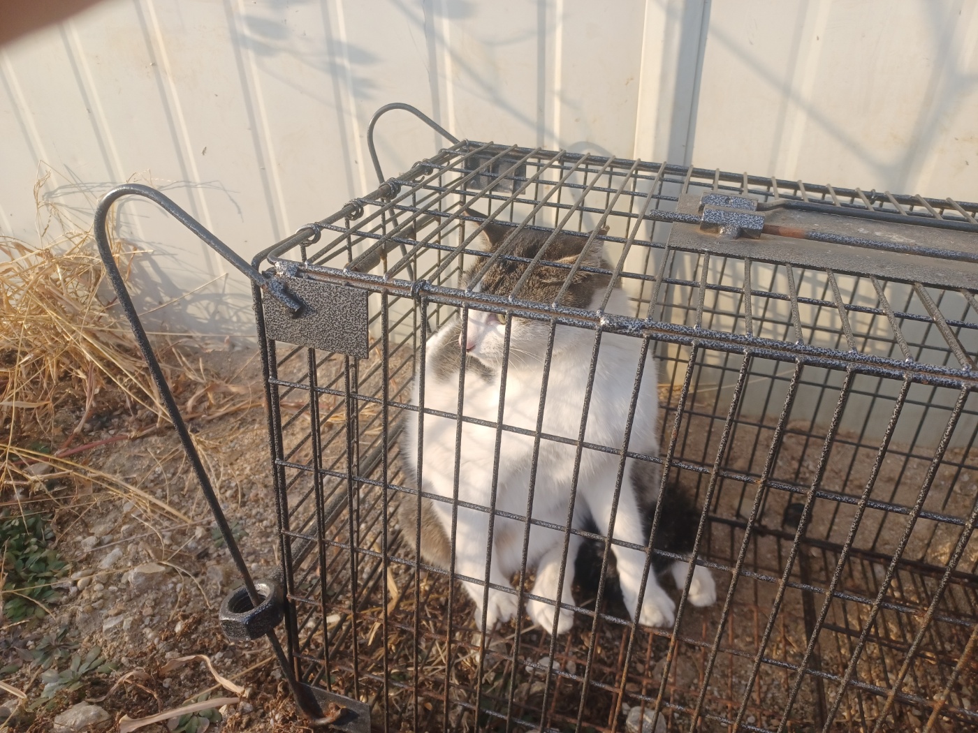 종료(방사) 한국 …